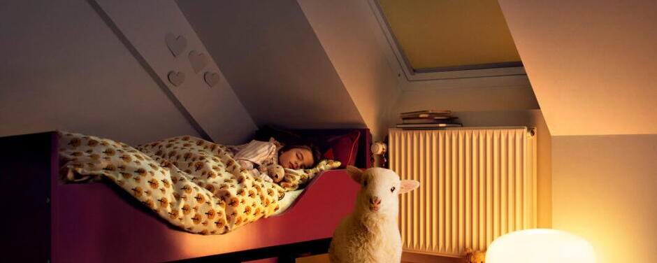 Schlafendes Kind im Bett unter Dachschräge | VELUX Magazin