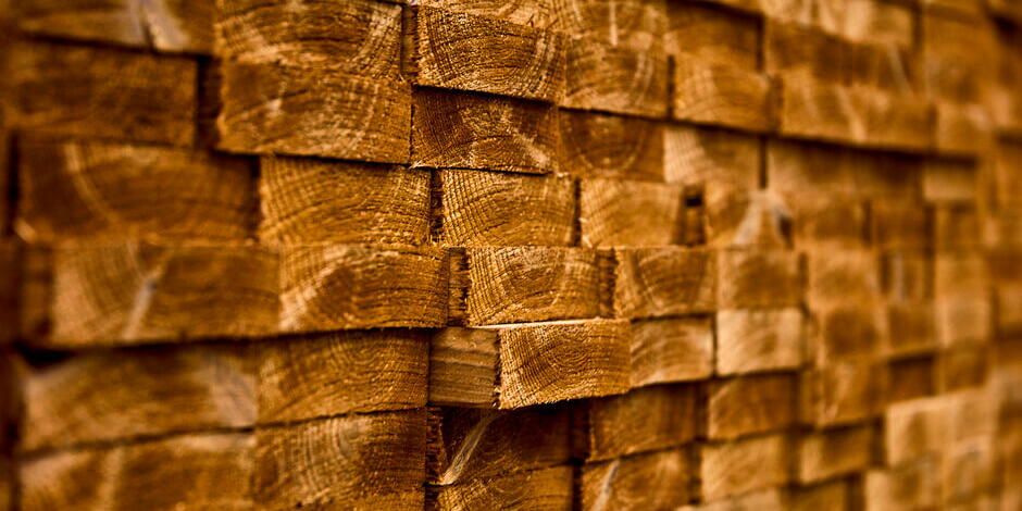 Nachhaltige Baustoffe Holz | VELUX Magazin